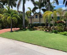 eastern exterminating lawn