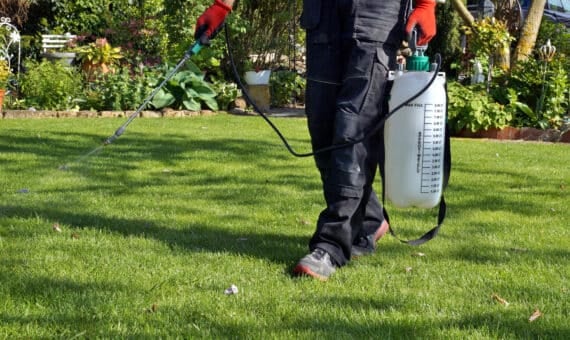grogreen pest