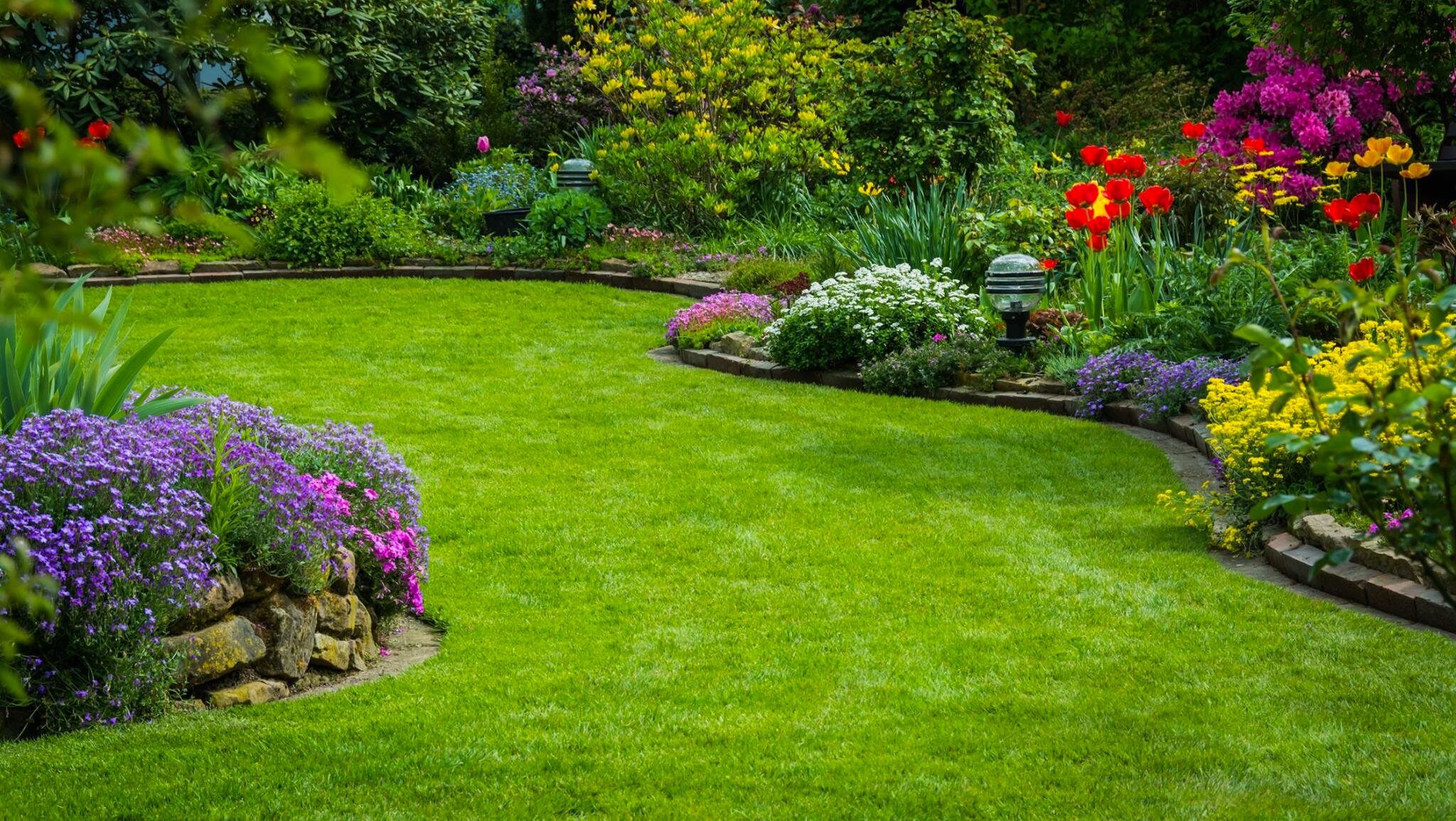 luv a lawn lawn-care-2