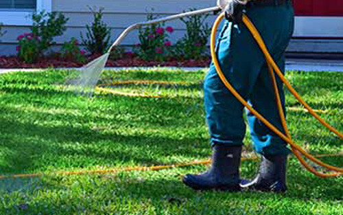 otg-pest-control-2