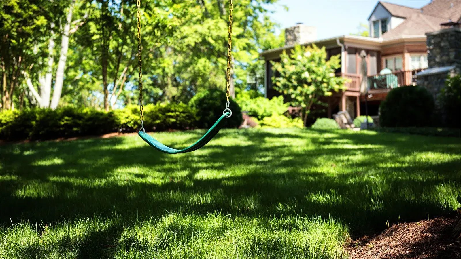 pure green tree and shrub