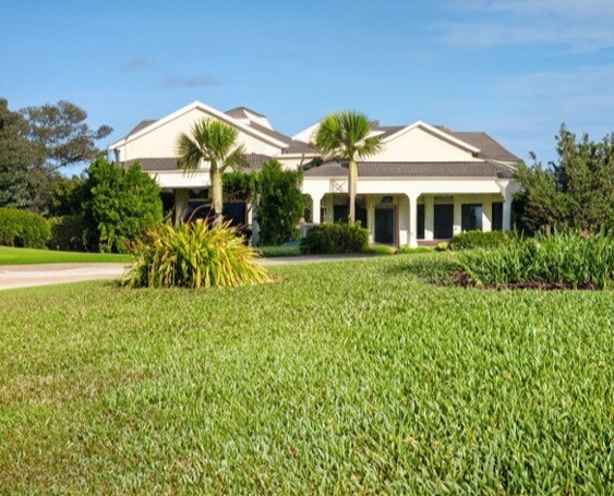 Firefly lush yard of St- Augustine grass in front of a coastal home 58850-1