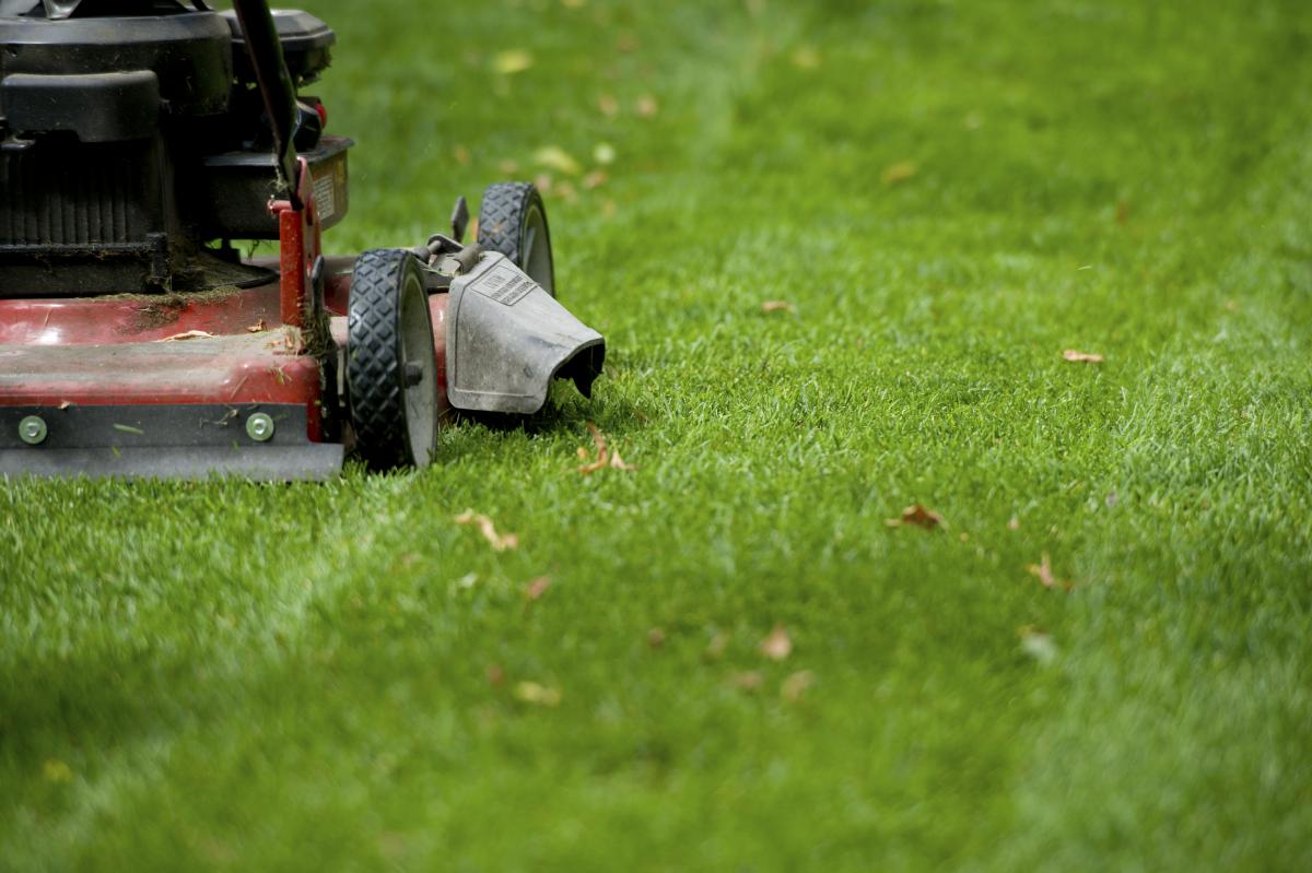 ygt lawn-mowing-central-florida_0